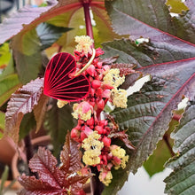 Charger l'image dans la galerie, Boucles d'oreilles Cœur-Soleil miroir rouge sur créoles ❤️🌞